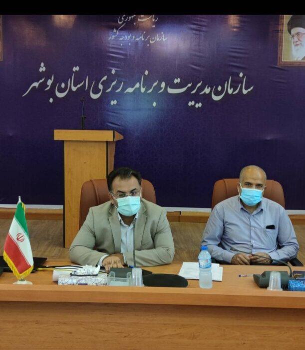 Acquiring the title of the top deputy of statistics of Bushehr Management and Planning Organization in the country