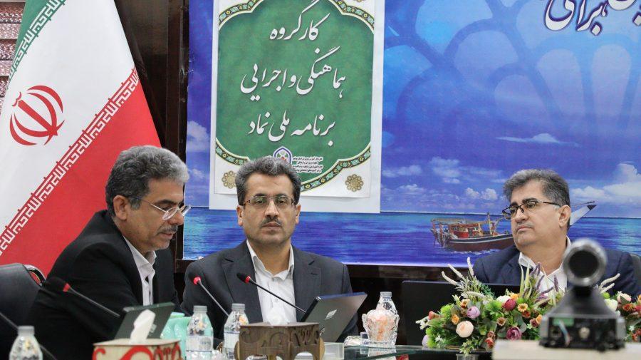 رئیس سازمان مدیریت و برنامه‌ریزی استان بوشهر در جلسه کارگروه اجرایی برنامه ملی «نماد» شرکت کرد